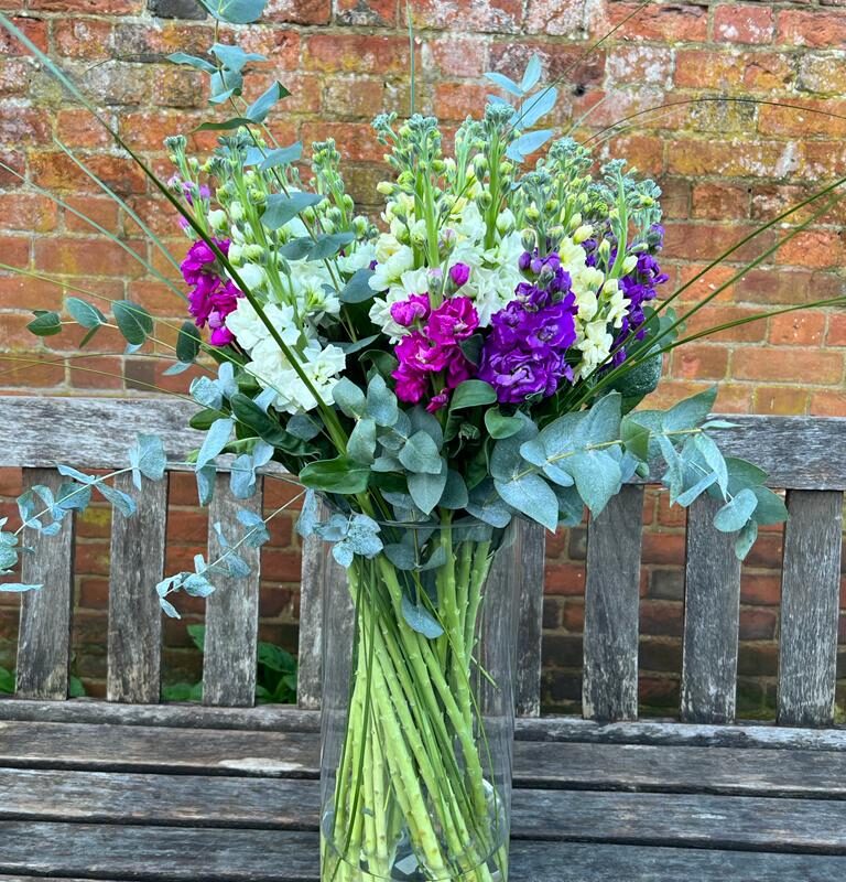 Scented Stocks Bouquet, sweet smelling beauties. Order online for your next day flower delivery or collect in store Bishops Stortford