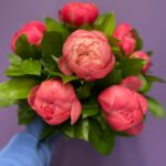 Pretty Pink Peonies - the favourite flower of the season. Order online for your next day flower delivery or collect in store Bishops Stortford